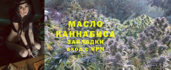 гидропоника Алзамай