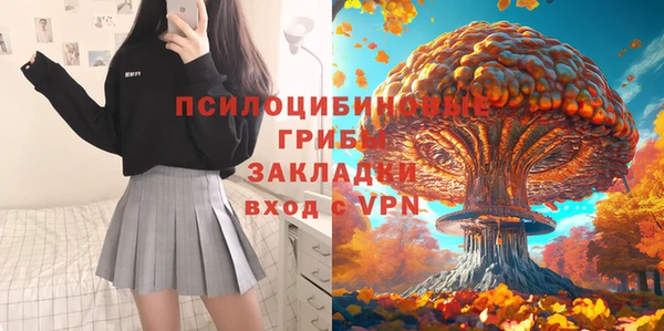 гидропоника Алзамай