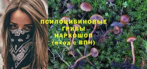 гидропоника Алзамай