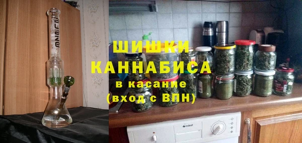 гидропоника Алзамай