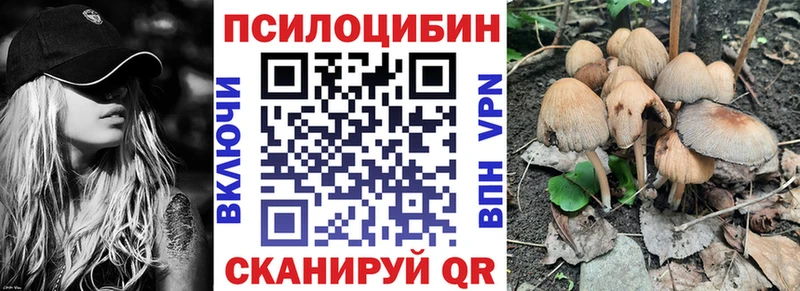 кракен сайт  Стародуб  Псилоцибиновые грибы ЛСД  darknet как зайти  что такое  
