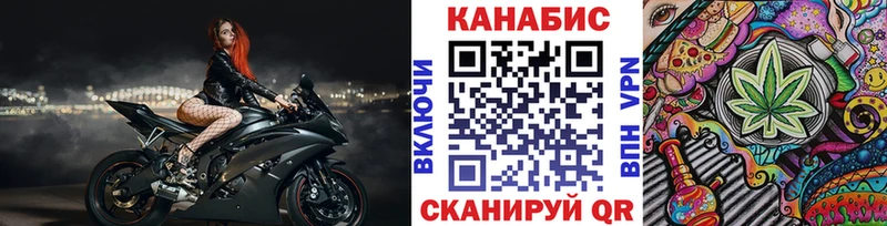 Каннабис конопля Стародуб